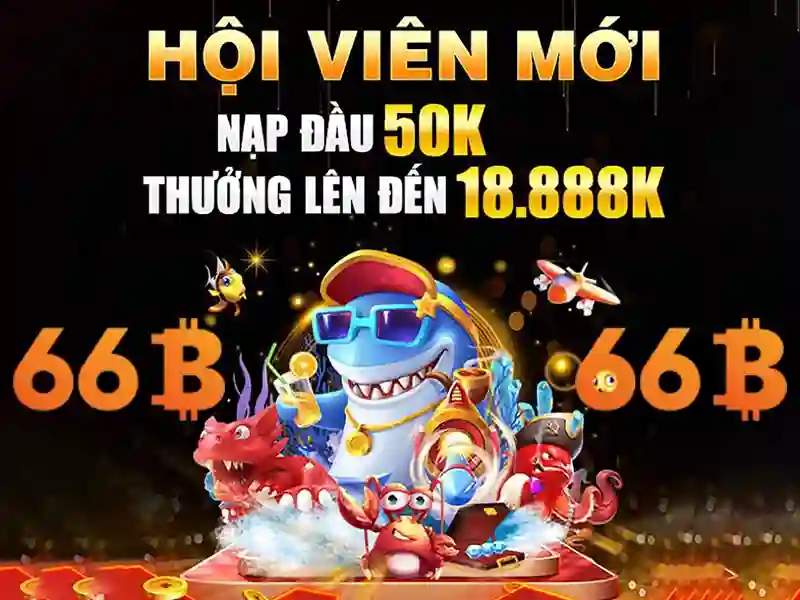 Kích thước và tham số của 66b