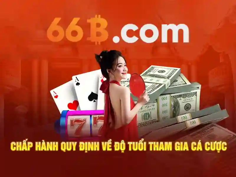 Trải nghiệm người dùng và phản hồi