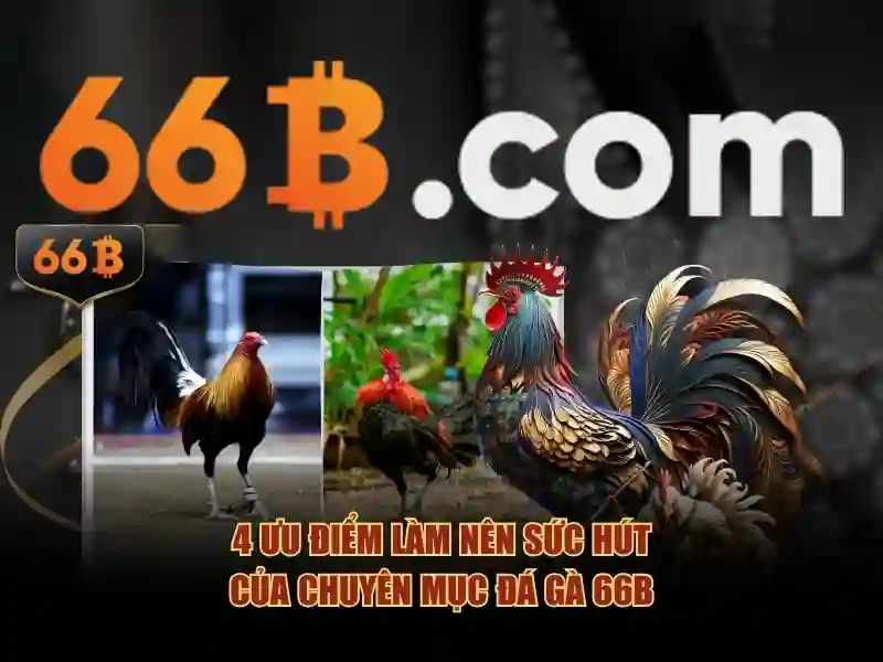 it act 66b – Tổng quan chủ đề và giá trị cốt lõi