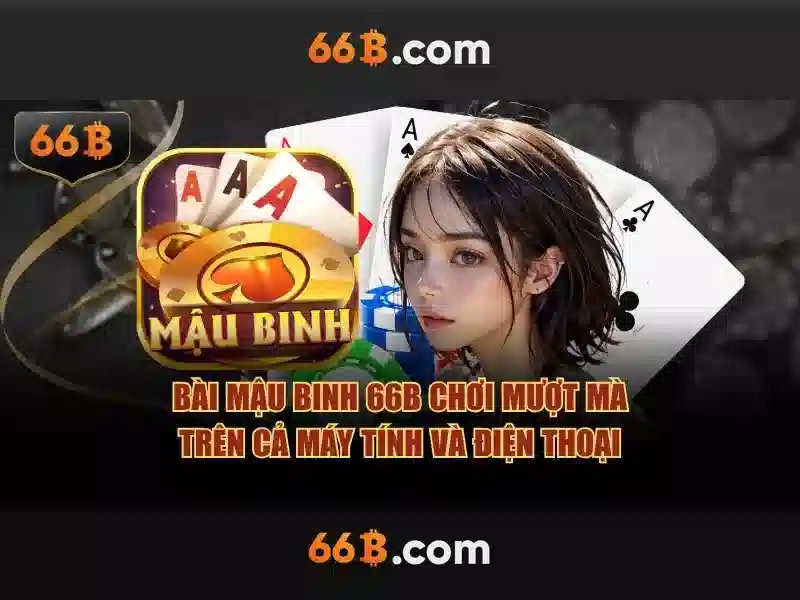 Phân tích chi tiết về 66b trong hệ thống nhúng