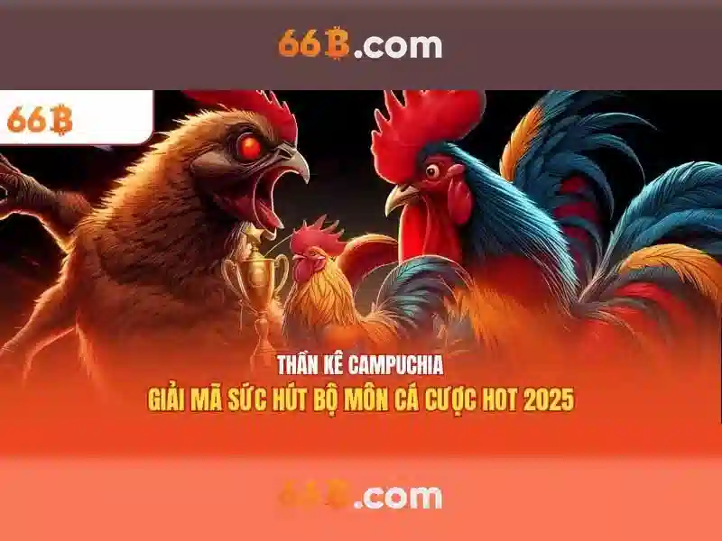 liên hệ 66b – Nguồn gốc và sứ mệnh