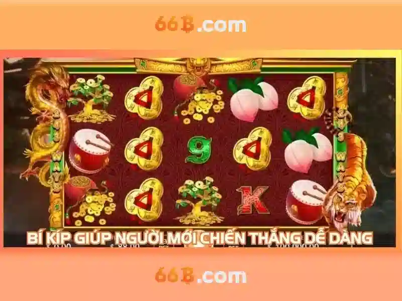 Cấu trúc và quy mô của 66B