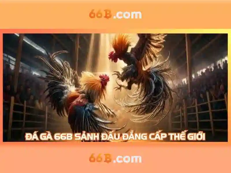 Đào tạo và tối ưu hóa\n<h>Ứng dụng thực tế của 66B</h>\n<p><span style=