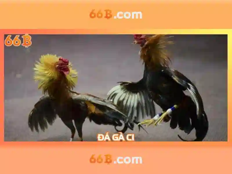 Nguồn gốc và ý nghĩa của 66b