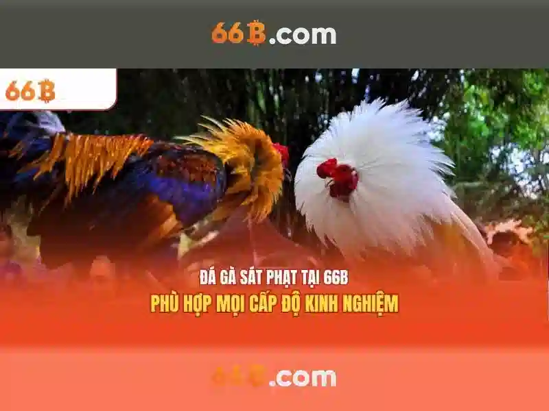 Việt Vị Trong Bóng Đá