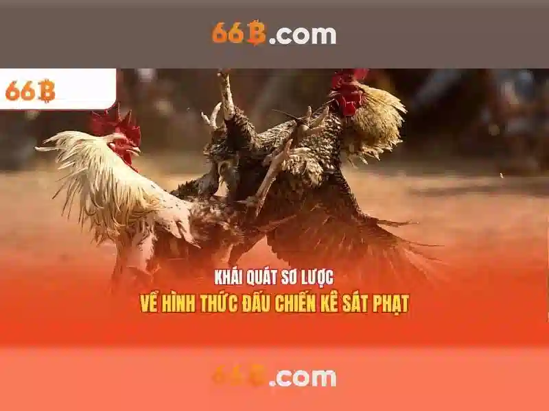Bull Bull trực tuyến