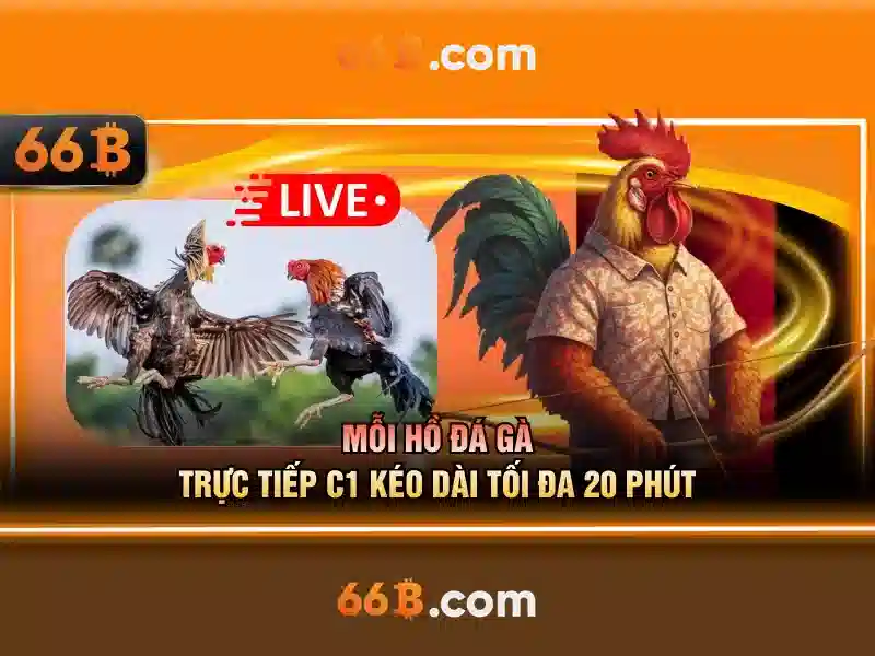 Kiến trúc và tham số của 66b