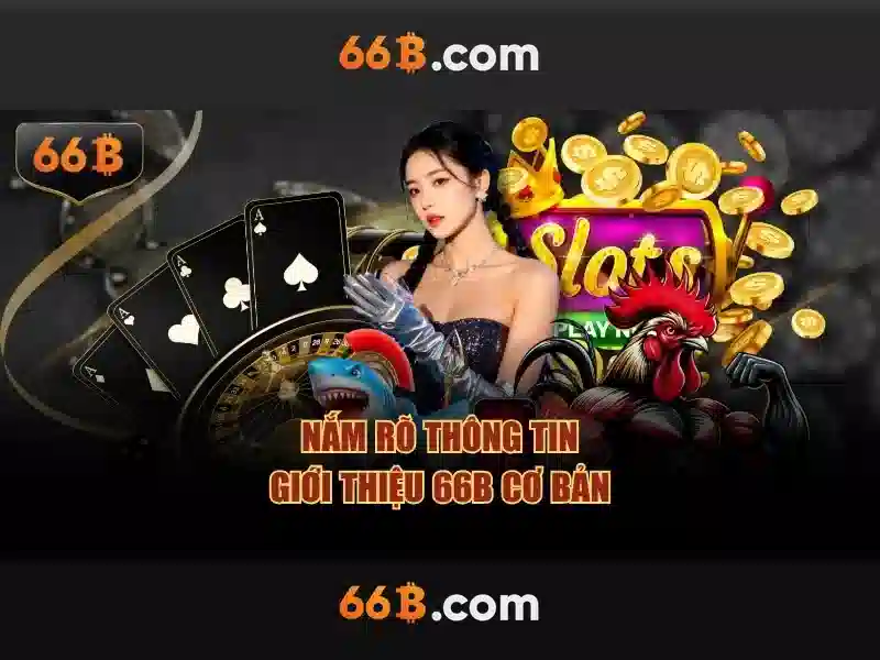 66b là gì và vì sao nó gây chú ý