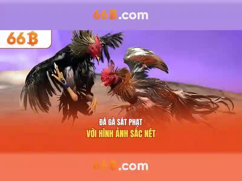 66b trong văn hóa và công nghệ<p><span style=