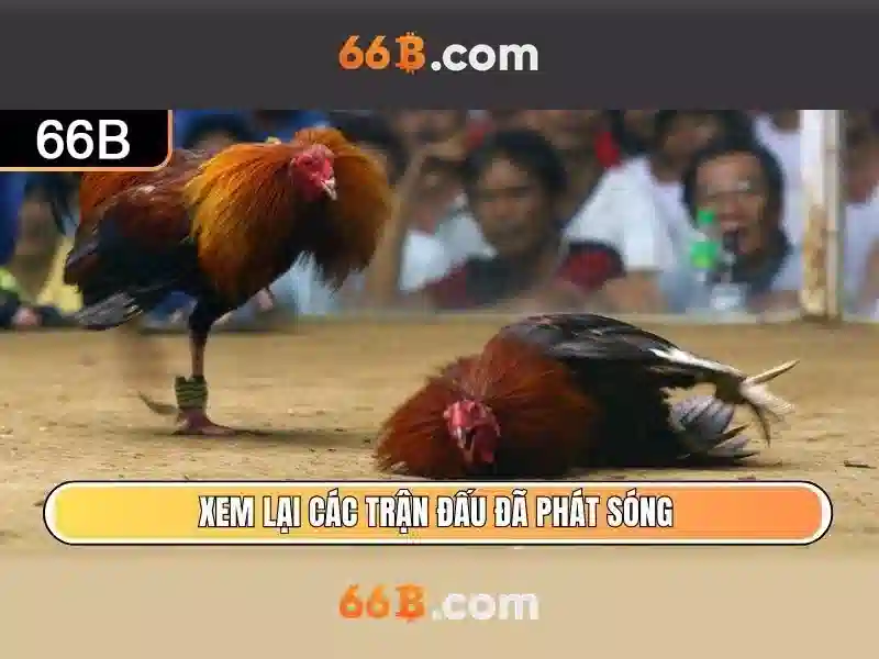 Việt Vị Trong Bóng Đá