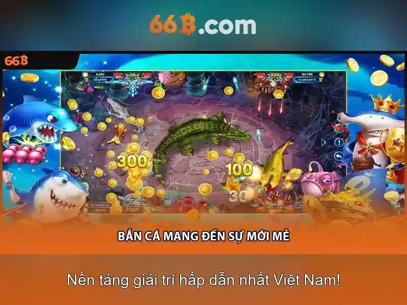 Giới thiệu về 66B