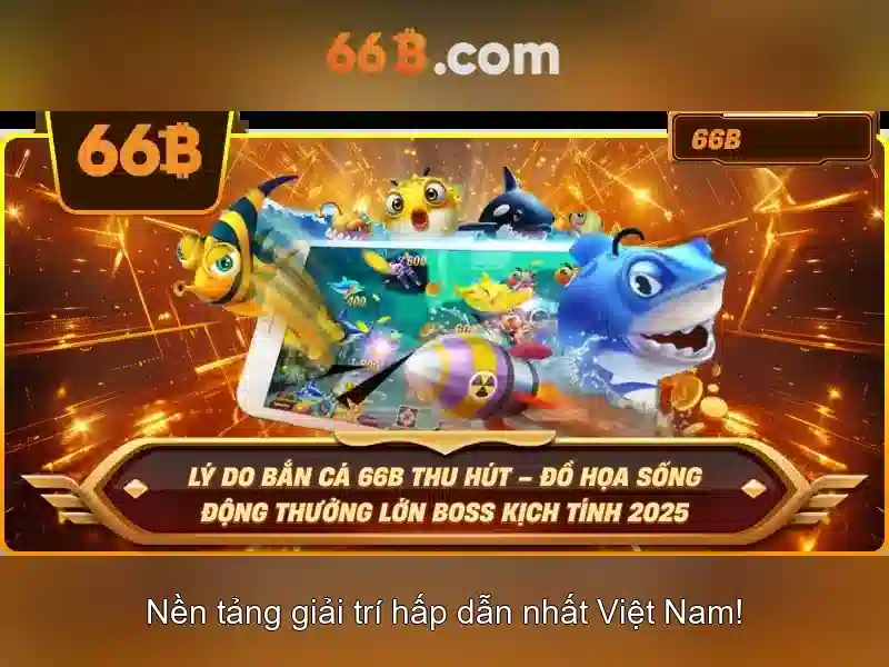 Giới thiệu về 66B