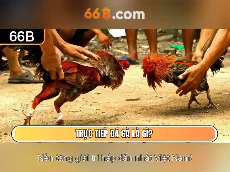 Định nghĩa và kích thước mô hình
