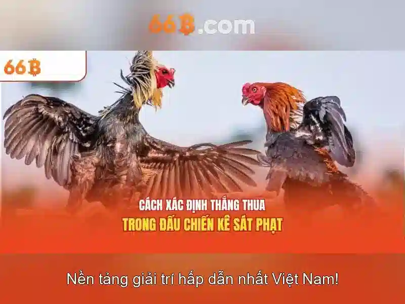 Ứng dụng thực tế của 66b