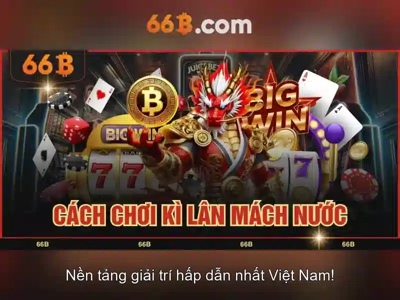 Giới thiệu về 66B