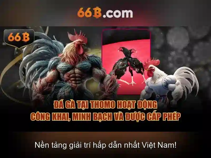 Nguồn gốc và tên gọi của 66B