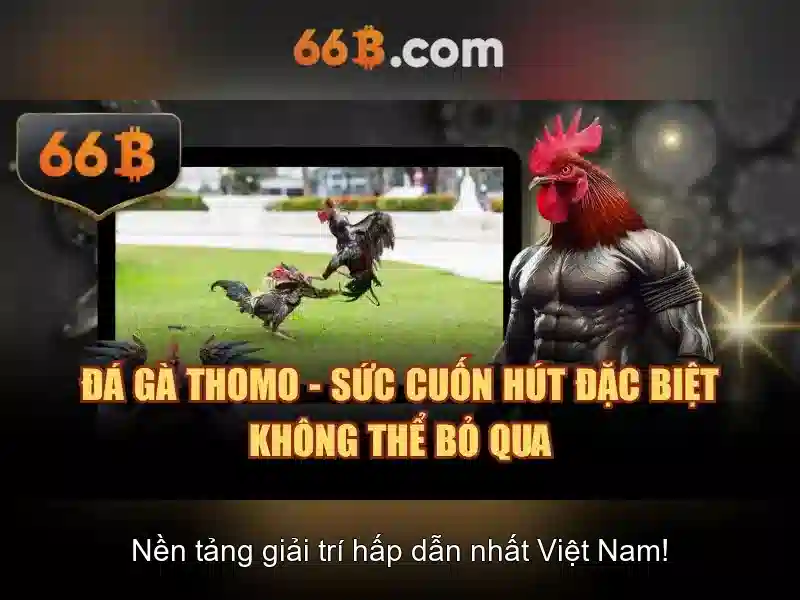Việt Vị Trong Bóng Đá