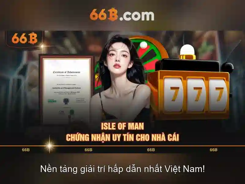 66b là gì