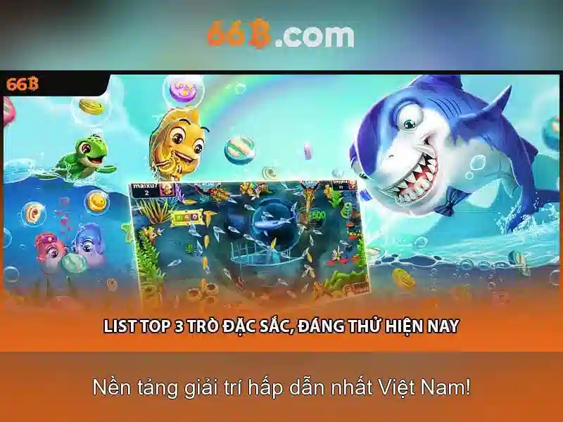 Khía cạnh toán học và thực tiễn
