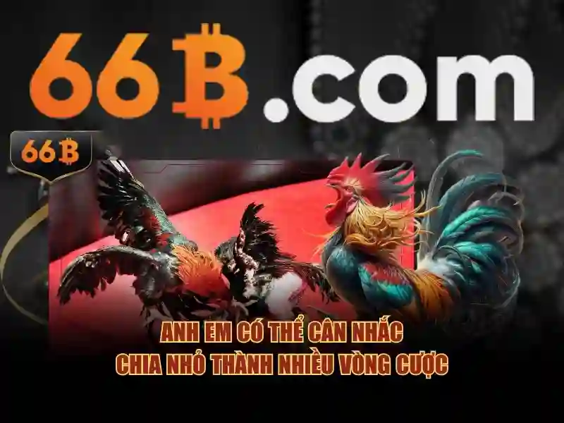 66b có hợp pháp không – Giới thiệu và tổng quan