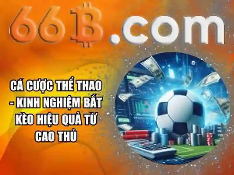 Lịch sử và sự phát triển của 66b
