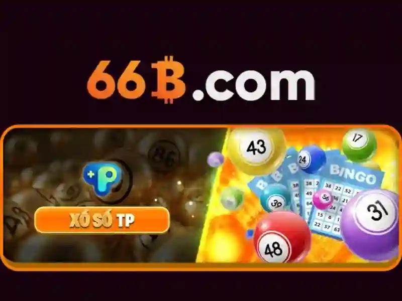 Trải nghiệm người dùng và phản hồi từ cộng đồng