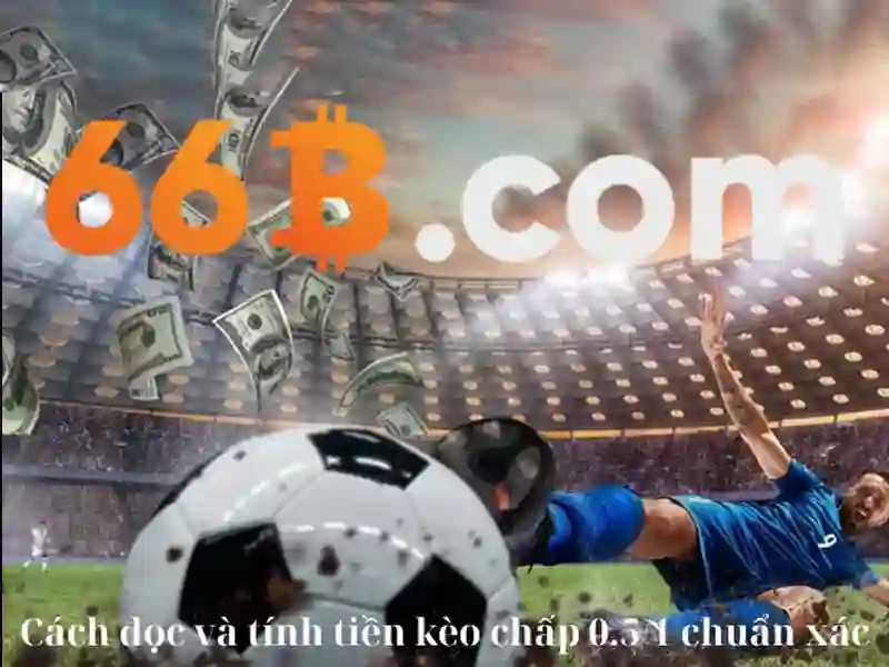 66b bus route – Tổng quan chủ đề và giá trị cốt lõi