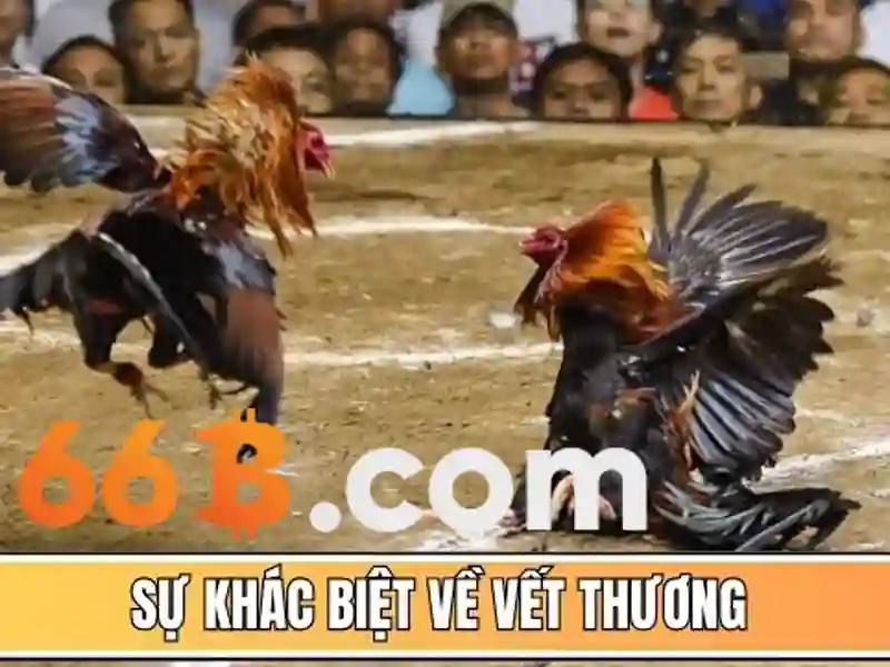 Việt Vị Trong Bóng Đá