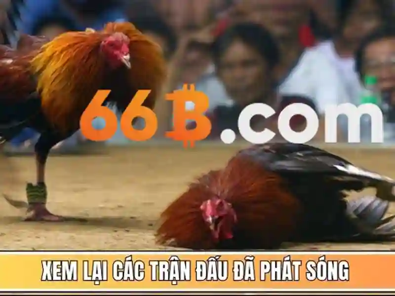 Ứng dụng trong doanh nghiệp và nghiên cứu