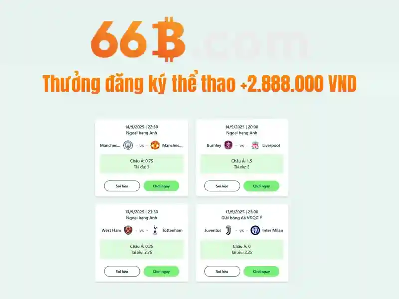 66b - Lợi thế và cạnh tranh