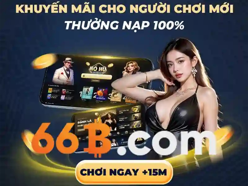 Mô hình 66B là gì?